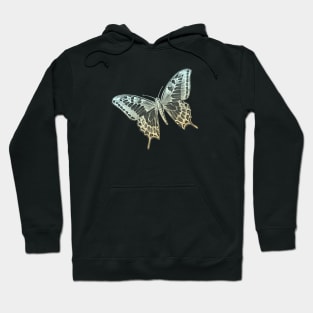 Yellow butterfly Hoodie